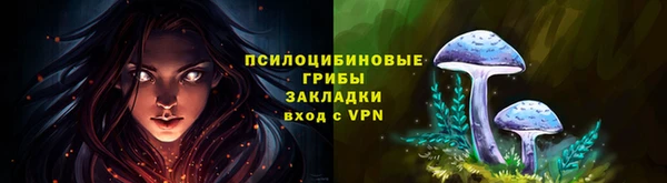 трава Абаза