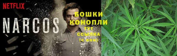 трава Абаза